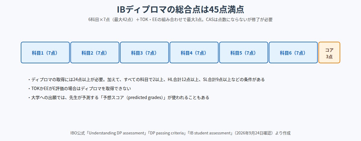 IBディプロマの総合点45点の内訳