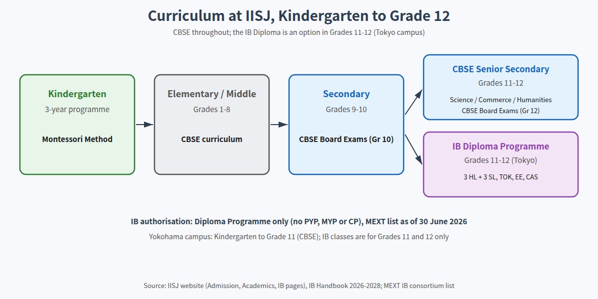 Curriculum structure at India International School in Japan from Kindergarten to Grade 12, with CBSE and IB Diploma options in Grades 11-12