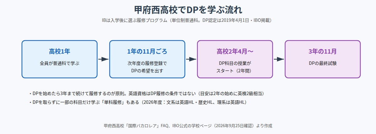 甲府西高校でDPを学ぶ流れ（1年は普通科、1年11月ごろに希望、2年4月からDP、3年11月に最終試験）