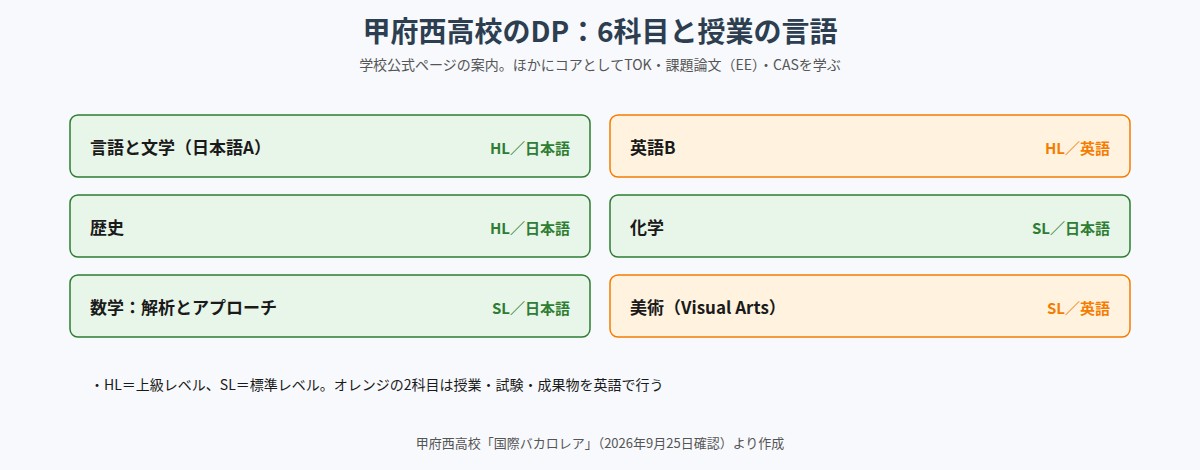 甲府西高校のDP6科目（日本語A・英語B・歴史がHL、化学・数学・美術がSL）と授業の言語