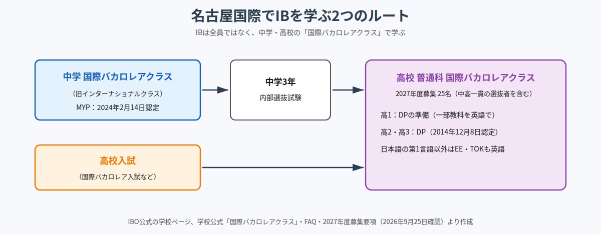 名古屋国際でIBを学ぶ2つのルート（中学の国際バカロレアクラスから内部選抜、または高校入試から高校の国際バカロレアクラスへ）