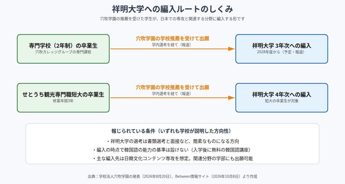 専門学校・短大から祥明大学への編入ルート